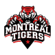 Montreal tiger partner 1